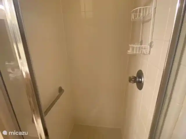 Rolling Hills - à 10 minutes de Disney! | États-Unis, Floride, Kissimmee - maison de vacances Salle de bain principale