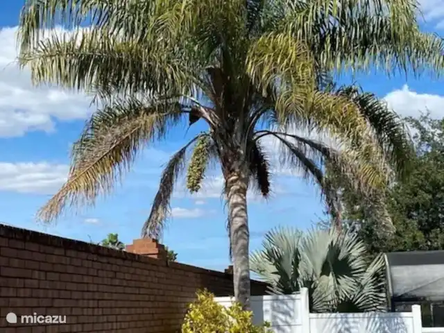 Rolling Hills - à 10 minutes de Disney! | États-Unis, Floride, Kissimmee - maison de vacances Jardin (entièrement clôturé)
