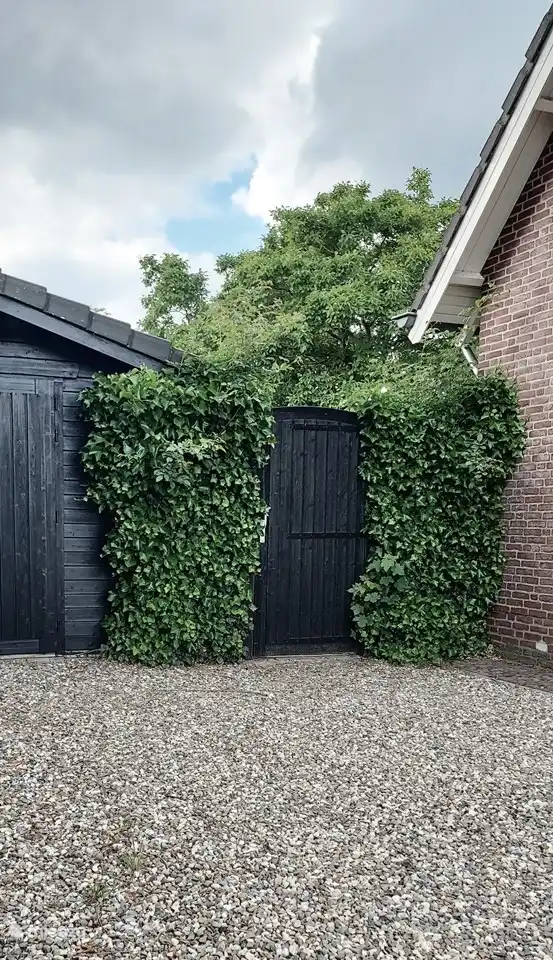 Private Auffahrt mit Tor zum privaten Garten.