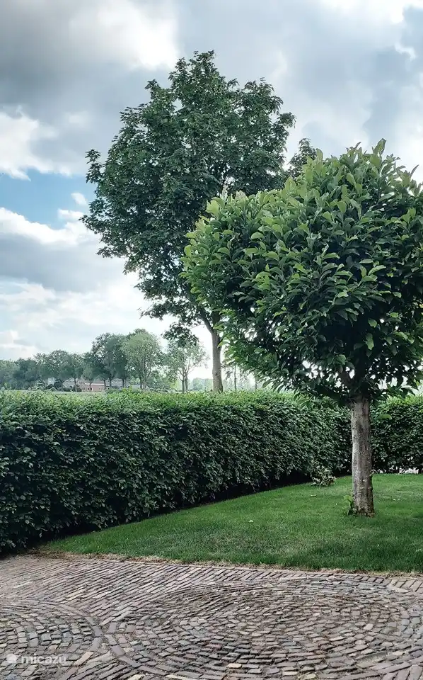 Ferienwohnung 'Bellvik' in Niederlande, Gelderland, Varsselder-Veldhunten - Ferienhaus