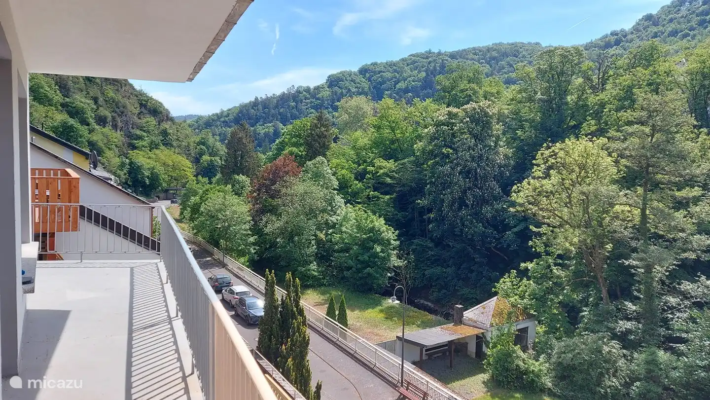 Gran balcón en el 1er piso, desde aquí se va al jardín.