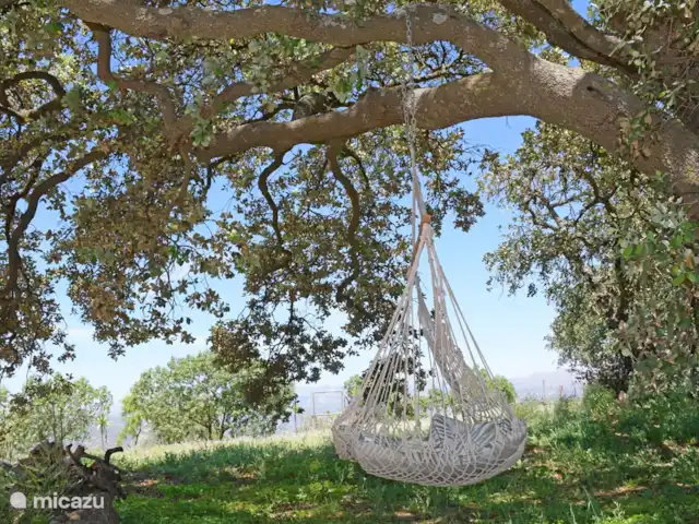 Villa Los Cuatro Vientos huren in Spanje, Costa del Sol, Comares - villa En na het eten, een tukje in de hangmat, onder de oude eik.