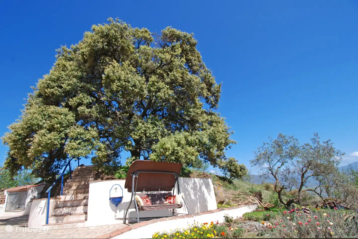 Oder genießen Sie es, mit nichts als Schönheit und Ruhe um Sie herum zu schwingen.