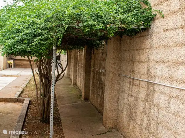 Maison de vacances Casa Mas Montañas 10 p. | Espagne, Valence, Godelleta - maison de vacances Passage fleuri