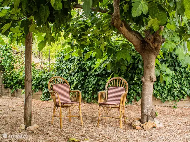 Maison de vacances Casa Mas Montañas 10 p. | Espagne, Valence, Godelleta - maison de vacances Bel endroit ombragé sous les figuiers