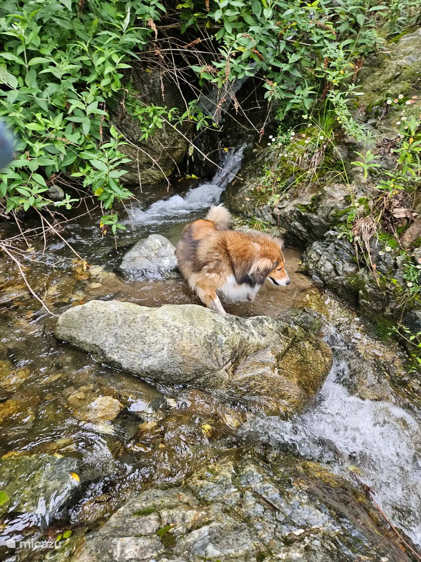 Además, a menos de 1 km de distancia, ¡muchas cosas hermosas!