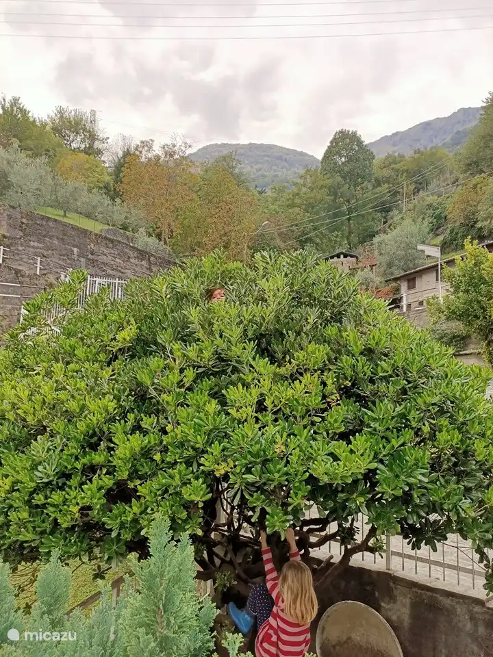 Mucho espacio para jugar, incluso para amigos de cuatro patas