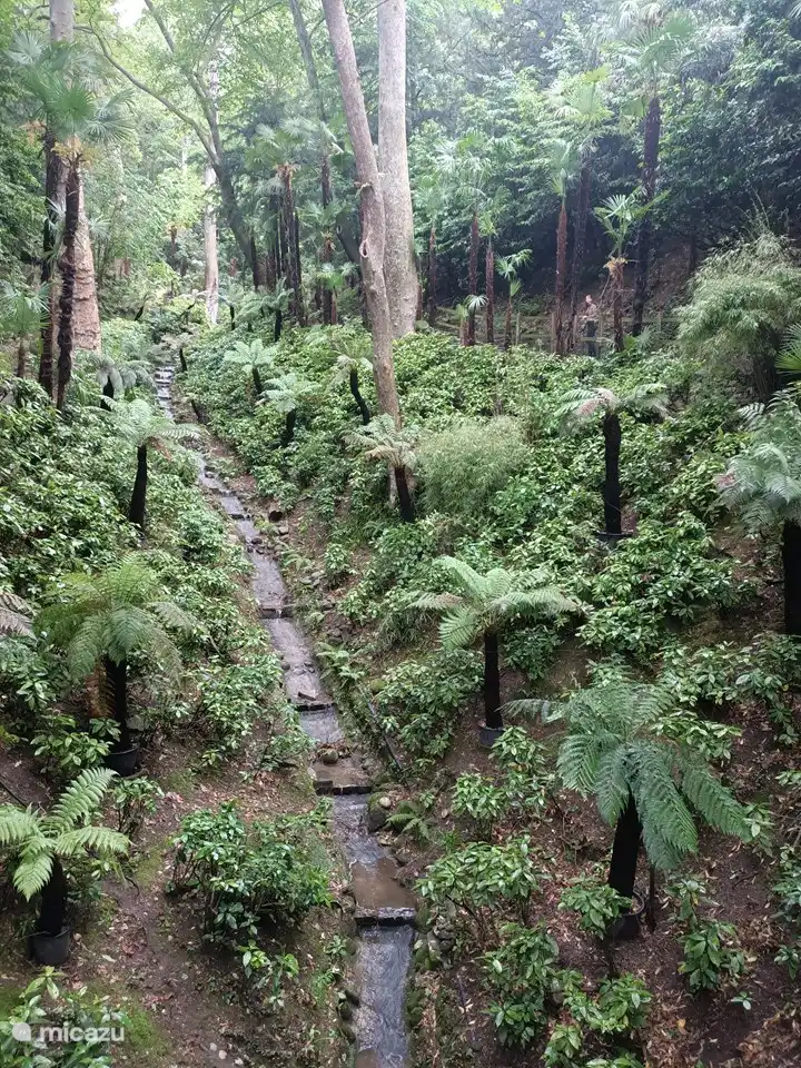 El jardín botánico de Villa Carlotta