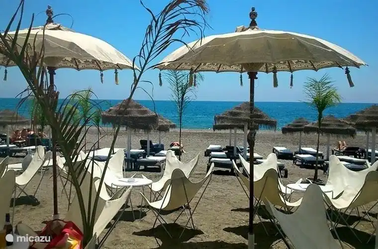 Torre del Mar. Eet krakend verse vis in één van de leuke strandrestaurants. 