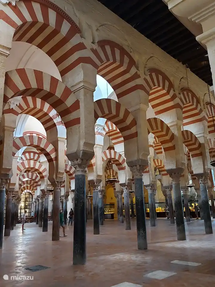 De Mezquita in Cordoba. Uniek in de wereld. Een kathedraal gebouwd in het hart van een moskee. 