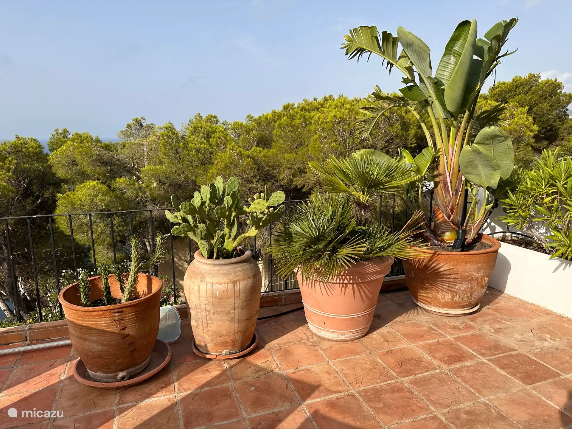 Terraza junto a la piscina
