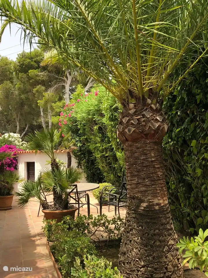 Terrasse derrière la maison (nord)