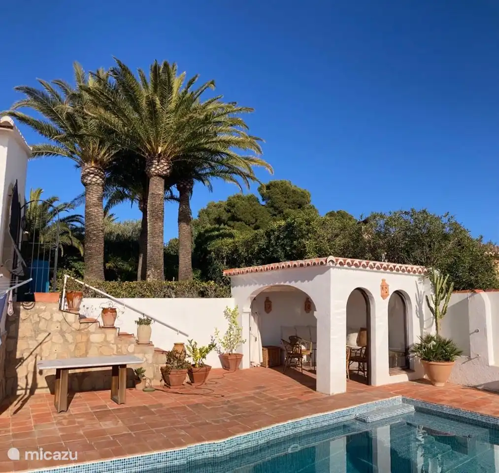 Terrasse couverte et jardin surélevé avec palmiers