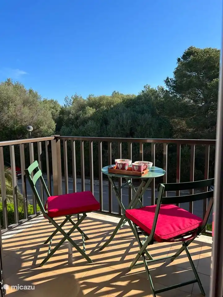 This is the extra terrace at the back where we also like to sit with a cup of coffee. The terrace is adjacent to the master bedroom.
