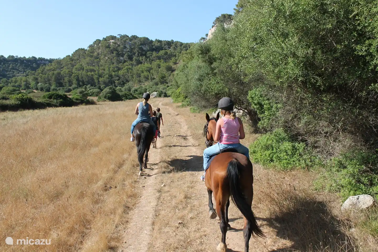 Horse riding with or without guidance in the pure nature of Menorca is beautiful.