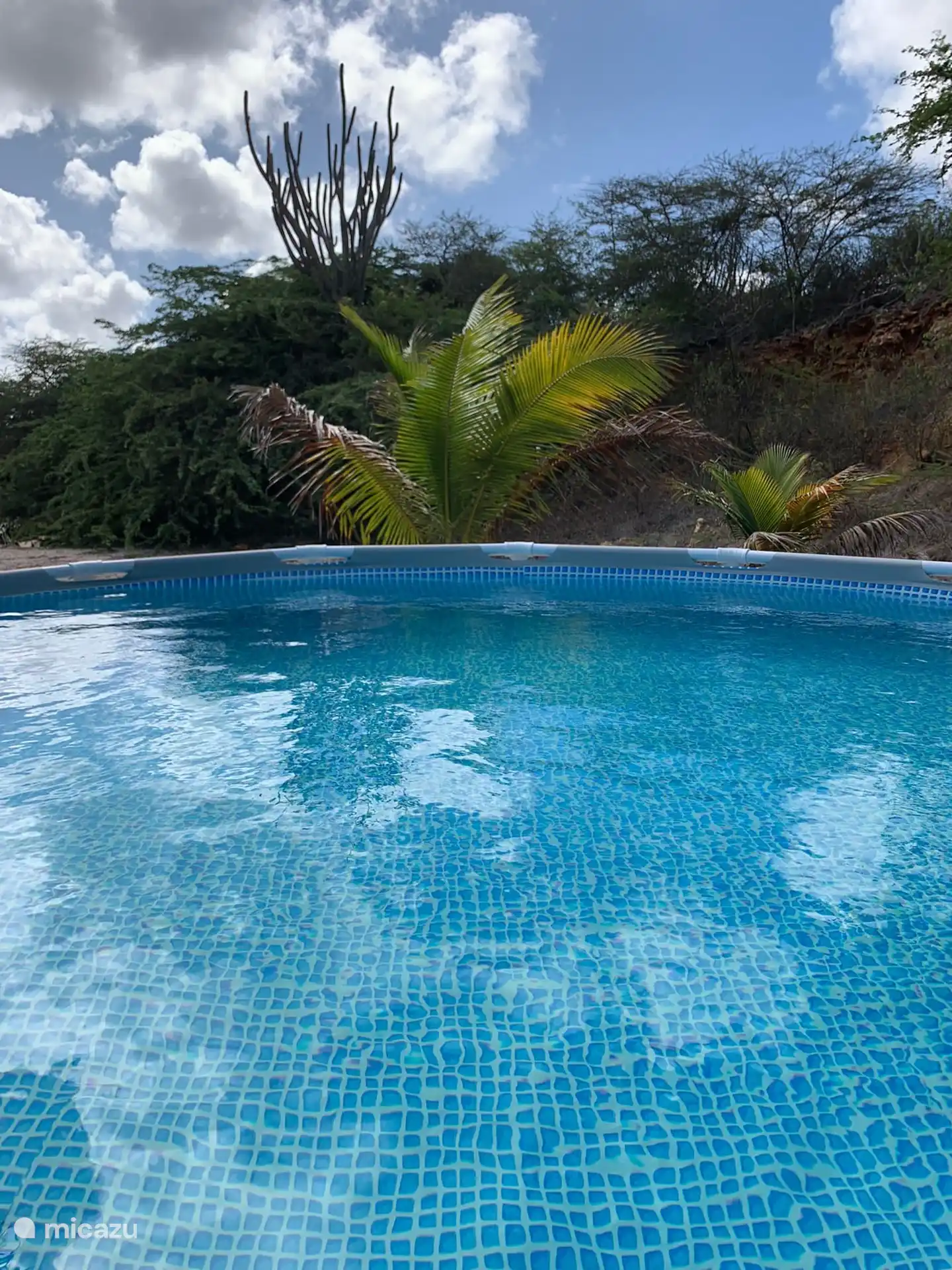 Het zwembad deelt u met de buren
