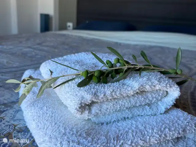 Villa Tichi | Grèce, Crète, Kyrianna - villa Tout y est pour passer un merveilleux séjour.