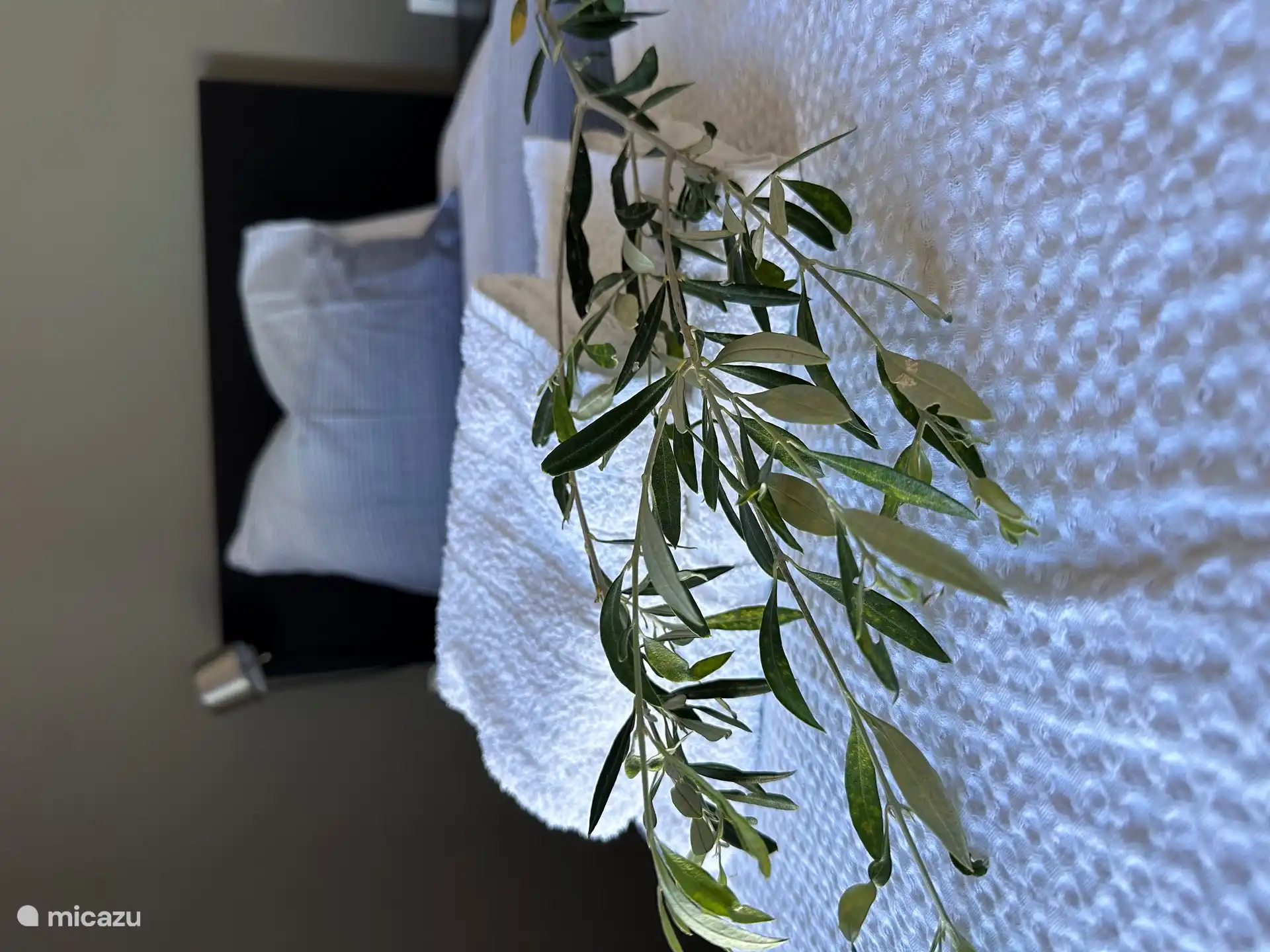 Handdoeken een badhanddoeken  zijn aanwezig.