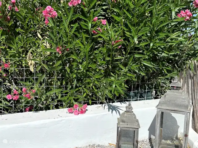 Villa Tichi | Grèce, Crète, Kyrianna - villa Jardin.