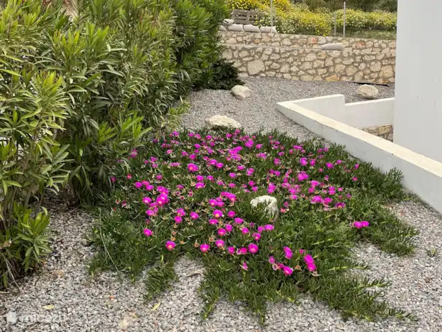 Villa Tichi | Grèce, Crète, Kyrianna - villa Jardin.