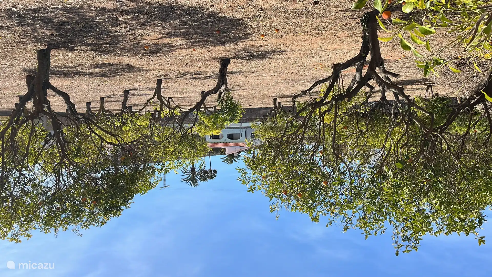 La casa de vacaciones fotografiada desde el huerto, y donde cuando es el momento adecuado, ¡es maravilloso recoger naranjas! 