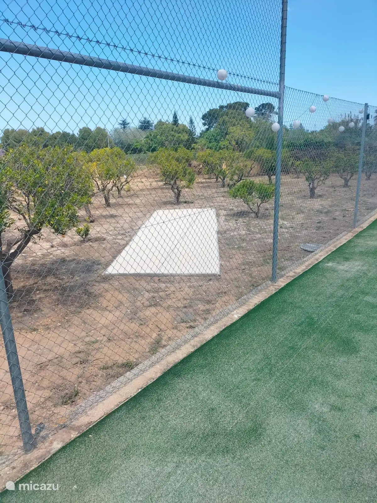 Durante todo el año, entre los naranjos, se puede jugar a la petanca...