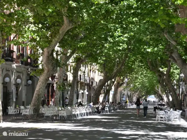 Finca Los Bastienos | Espagne, Costa Blanca, Dénia - villa Marques de Campo, la rue commerçante de la vieille ville de Dénia.