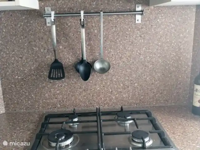 Location de Vacances Pays-Bas, Gueldre, Hattemerbroek, maison de vacances - Maison de l'amitié