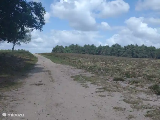 Location de Vacances Pays-Bas, Gueldre, Hattemerbroek, maison de vacances - Maison de l'amitié