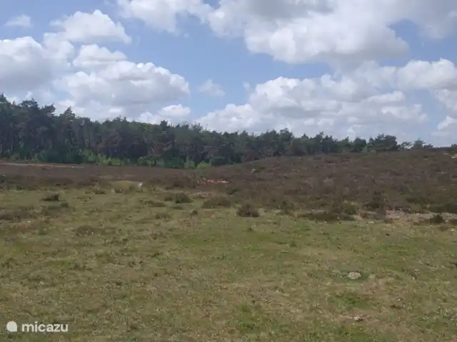 Location de Vacances Pays-Bas, Gueldre, Hattemerbroek, maison de vacances - Maison de l'amitié