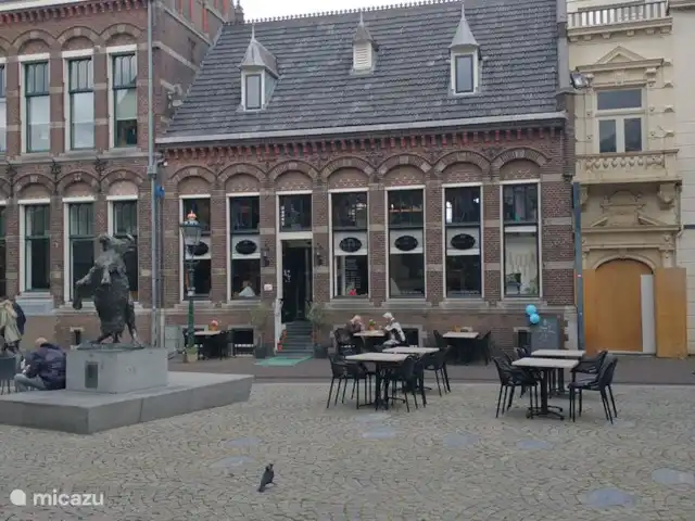 Location de Vacances Pays-Bas, Gueldre, Hattemerbroek, maison de vacances - Maison de l'amitié En difficulté