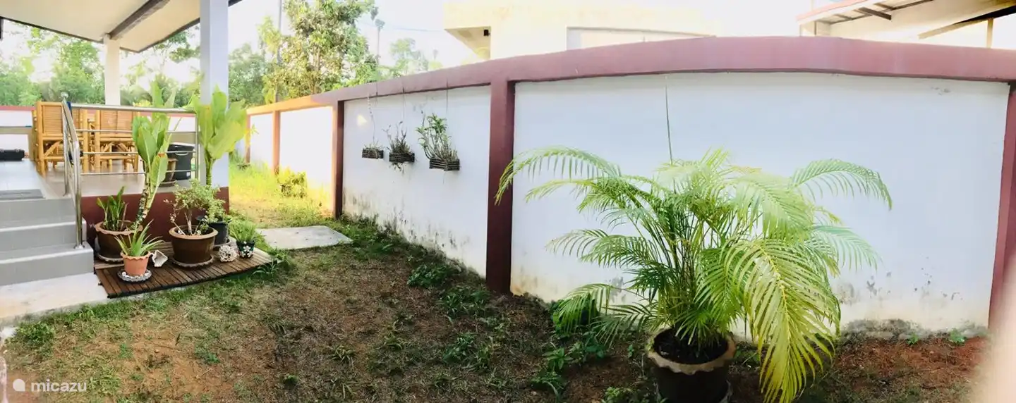 Un bonito jardín alrededor de la terraza cubierta que se encuentra en el lateral de la casa.