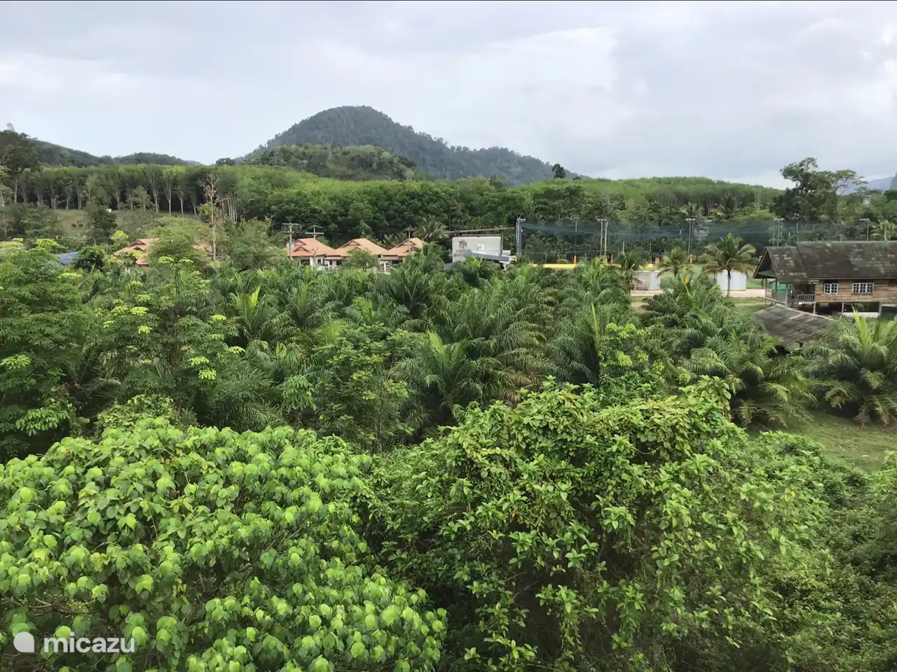Una foto ambiental. Mucha naturaleza limpia. La casa es la última casa en una calle sin salida. Así que no hay tráfico en frente de su casa. Hay 6 de este tipo de villas construidas en el año 2015.
