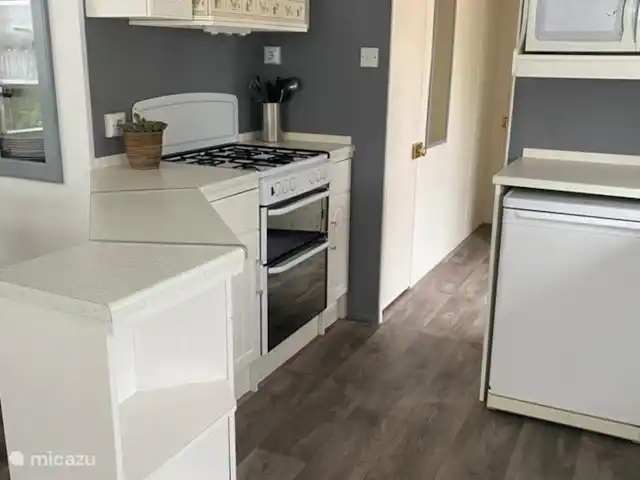 Rondeweibos en Países Bajos, Holanda Meridional, Rockanje - mobil home / caravana