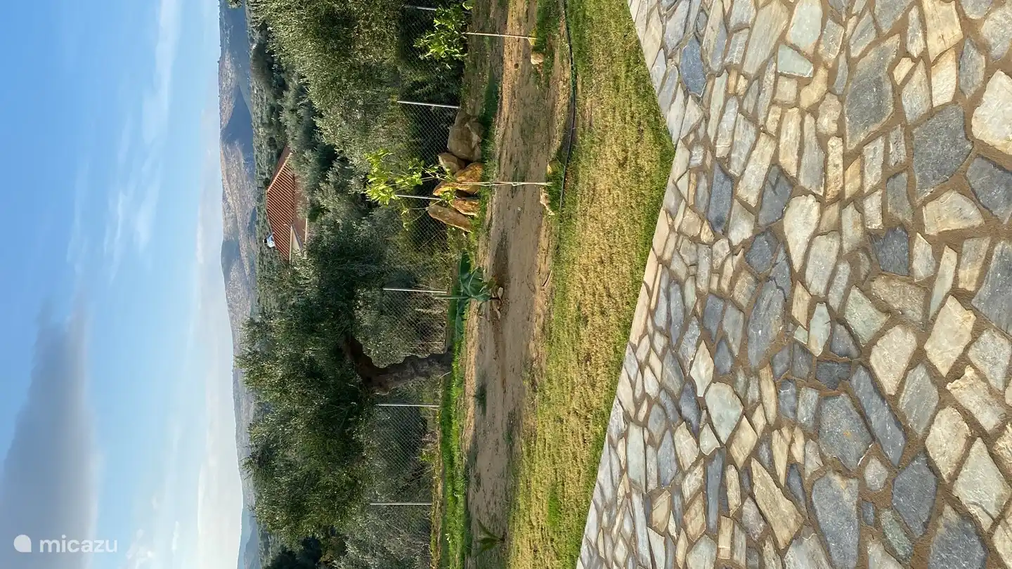 View from the garden