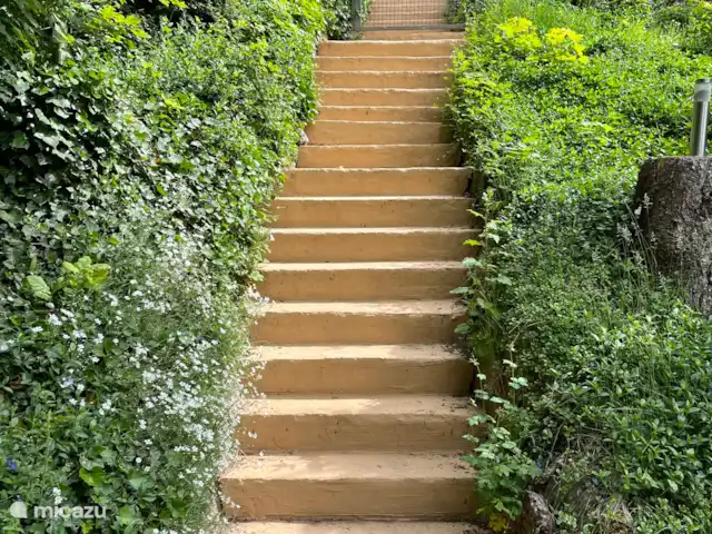Haus am Berg huren in Duitsland, Sauerland, Diemelsee - vakantiehuis