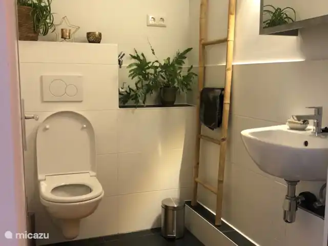 Haus am Berg huren in Duitsland, Sauerland, Diemelsee - vakantiehuis Nieuwe ruime luxe toiletruimte begane grond.