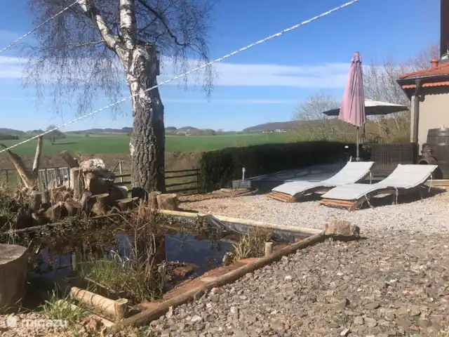Haus am Berg huren in Duitsland, Sauerland, Diemelsee - vakantiehuis Charmant klein vijvertje met mooie bloeiend lissen in de zomer.