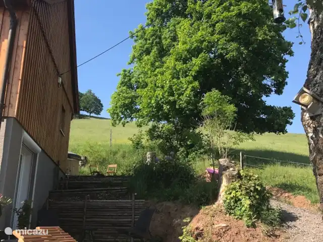 Haus am Berg huren in Duitsland, Sauerland, Diemelsee - vakantiehuis Lekker relaxen op de ligbedden met uitzicht naar boven op de hoge weide.