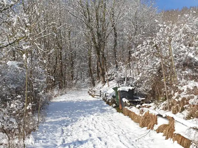 Haus am Berg huren in Duitsland, Sauerland, Diemelsee - vakantiehuis