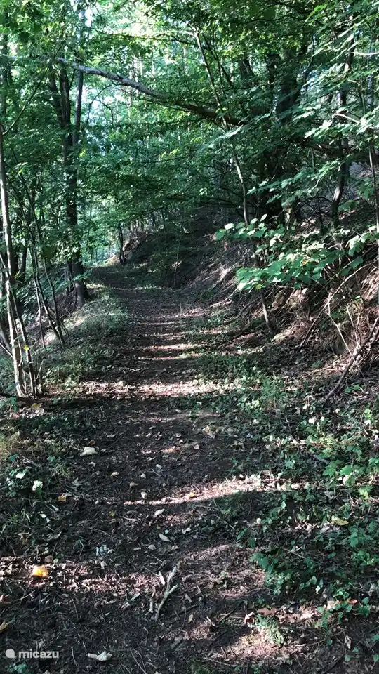 Ausgangspunkt für traumhafte Wanderungen ab der Haustür. Liegt direkt neben dem Haus.