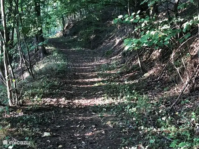 Haus am Berg huren in Duitsland, Sauerland, Diemelsee - vakantiehuis Startpunt voor fantastische wandelingen vanuit de voordeur. Direct naast het huis gelegen.