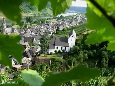 Blick auf den Ort während der Moselsteig Seitensprung Felsen-Fässer-Fachwerk-Wanderung!