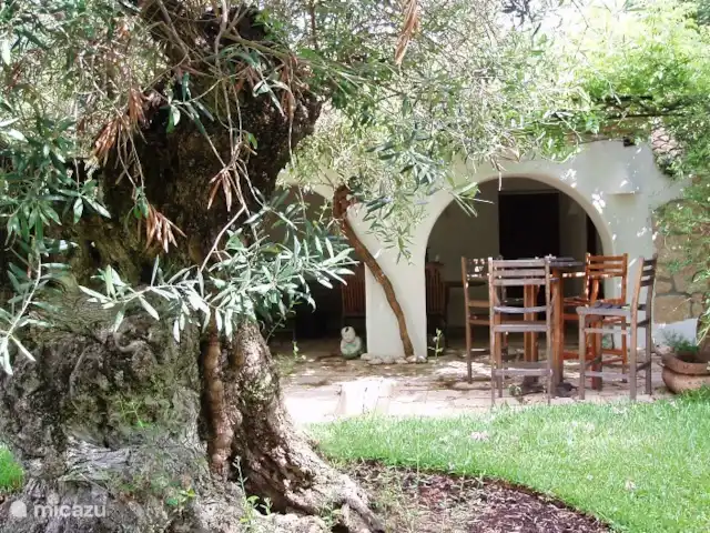 Las Golondrinas en España, Costa Blanca, Jávea - villa olivo de 800 años