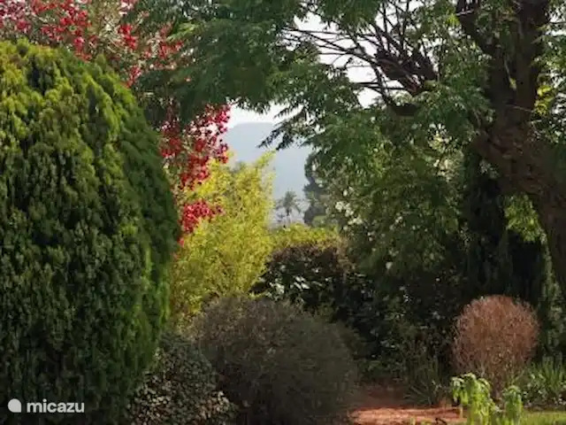 Las Golondrinas en España, Costa Blanca, Jávea - villa