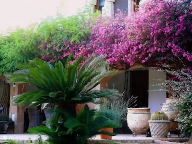 Las Golondrinas en España, Costa Blanca, Jávea - villa