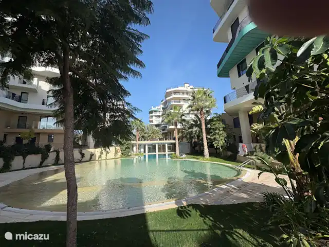appartement huren in Spanje, Costa Blanca, Villajoyosa – Penthouse Atico Bay Het grote buiten zwembad bij het appartement