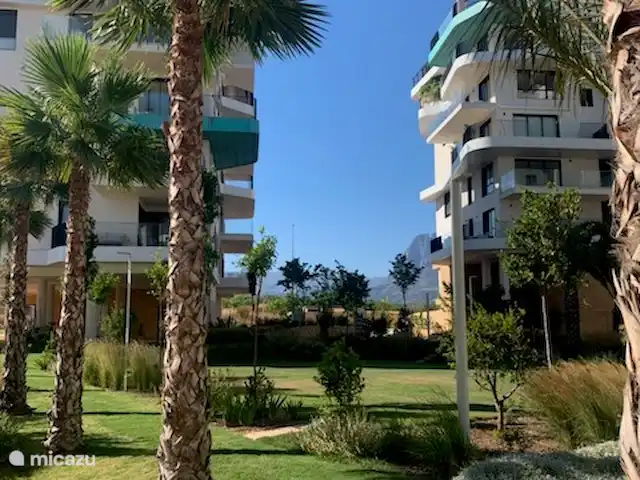appartement huren in Spanje, Costa Blanca, Villajoyosa – Penthouse Atico Bay gemeenschappelijke tuin