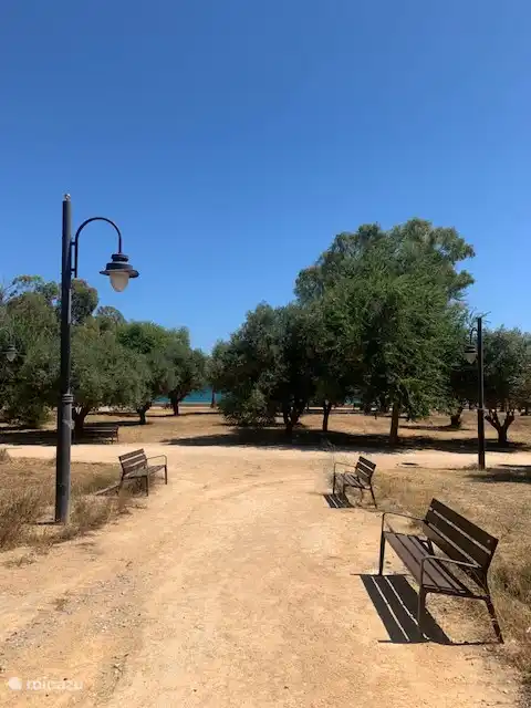 Park zwischen Wohnung und Strand