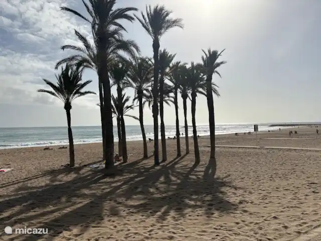 appartement huren in Spanje, Costa Blanca, Villajoyosa – Penthouse Atico Bay Het zandstrand in Villajoyosa aan de boulevard met palmbomen